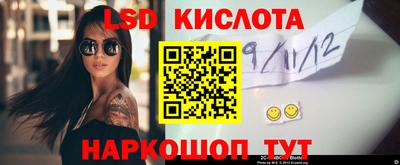 трава Сланцы
