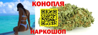 гидропоника Славгород