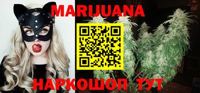 трава Сланцы