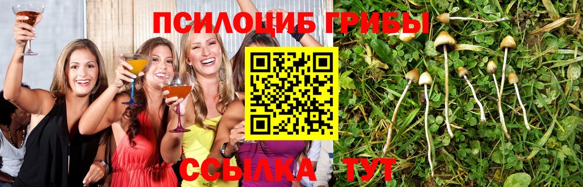Псилоцибиновые грибы ЛСД Новосибирск